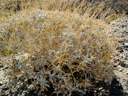 Melanie Heinrich - Travel